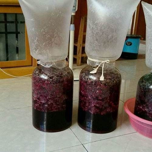 自酿葡萄酒的正确做法_自酿葡萄酒需要哪些材料