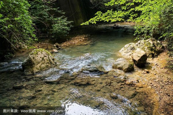涧水是什么水_涧水泡茶好吗
