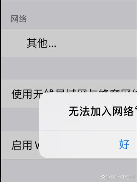 苹果手机无线局域网打不开怎么办_无线局域网按钮灰色无法点击