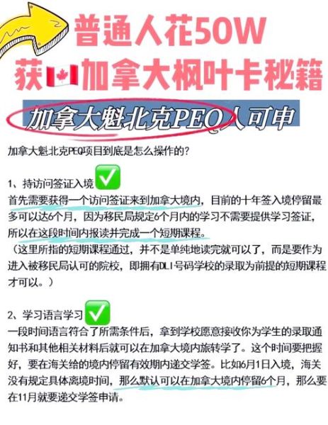IT移民加拿大条件_程序员如何申请枫叶卡