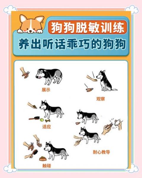 狗鼻子为什么那么灵敏_如何训练嗅觉追踪