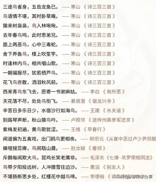 描写飞鸟的词语有哪些_如何写出灵动画面