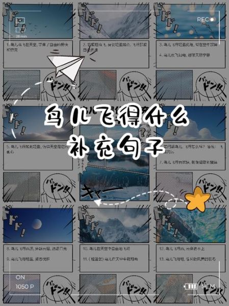 描写飞鸟的词语有哪些_如何写出灵动画面