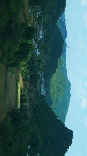 大山生活的好处有哪些_如何适应大山生活
