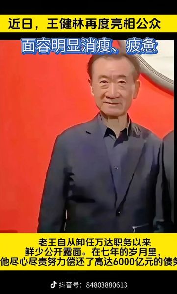 王健林移民了吗_王健林移民传闻真相