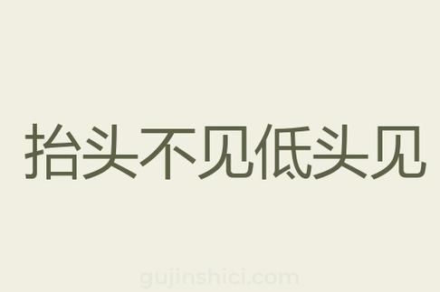 低头词语有哪些_低头族常见表现