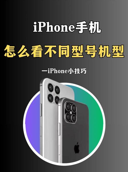手机型号在哪里查_如何快速识别手机型号