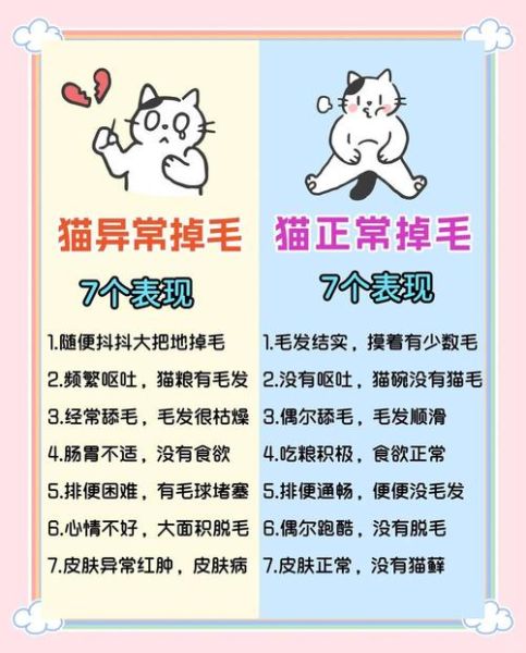 猫狗掉毛怎么办_如何减少家里飞毛
