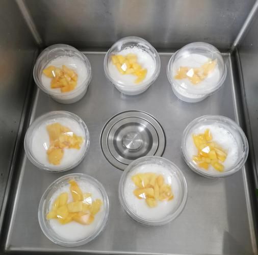 牛奶布丁怎么做_牛奶布丁最简单的做法