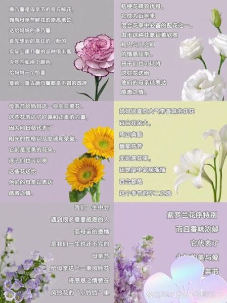 花语大全_送花寓意有哪些