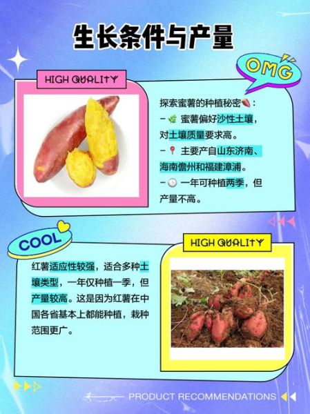 红薯为什么叫地瓜_红薯和地瓜的区别
