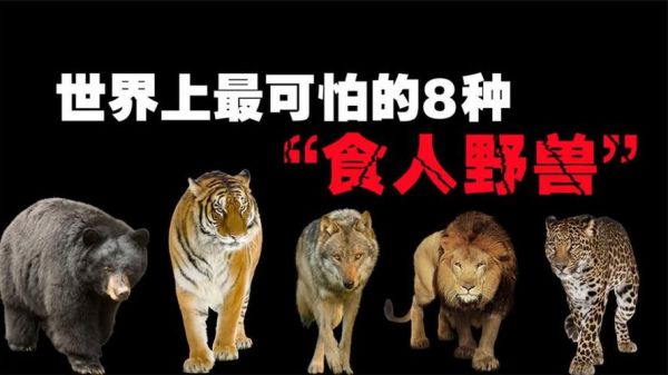 野兽进食方式有哪些_野兽进食习惯如何形成