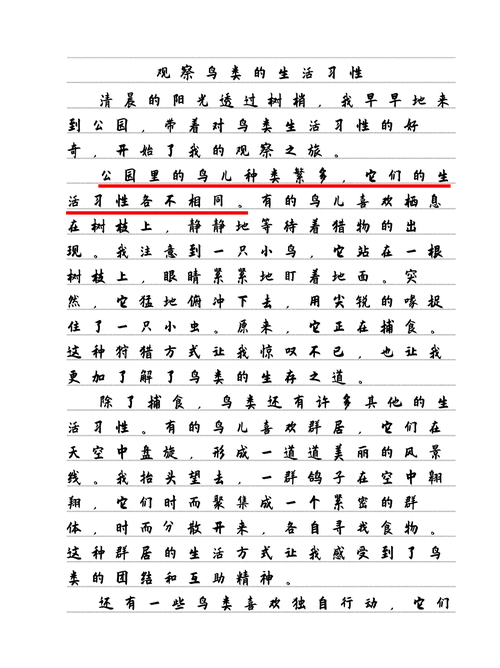 鸟类词语有哪些_如何用在作文里
