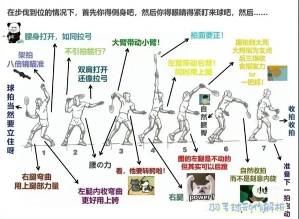 拍球怎么拍_拍球动作要领