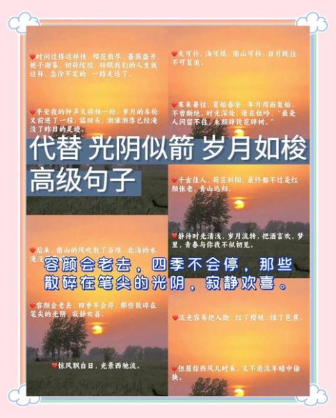 光阴似箭下一句是什么_光阴似箭怎么接下一句