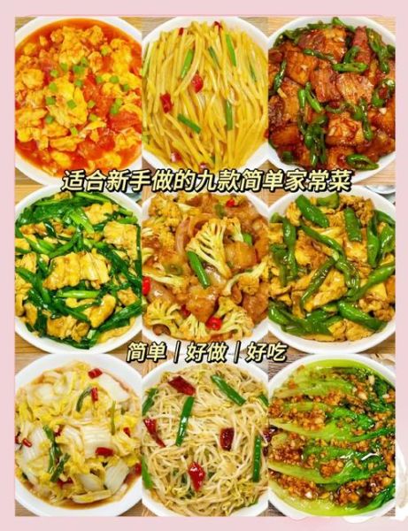 快手家常菜做法大全_新手十分钟搞定