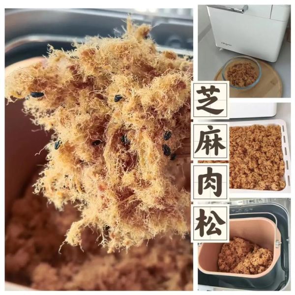 肉松的做法_自制肉松能保存多久