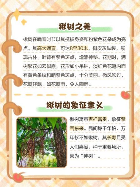 秋林适合种什么树_秋林树种选择技巧
