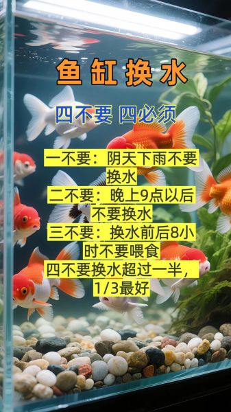 小鱼怎么养才能活得久_小鱼缸多久换一次水