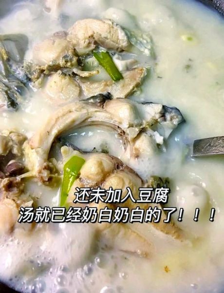 鱼汤怎么炖才白_鱼汤做法家常步骤