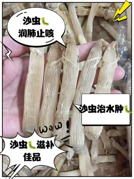 沙虫怎么清洗_沙虫干怎么泡发