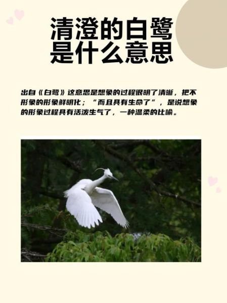 清澄是什么意思_清澄和清澈有什么区别