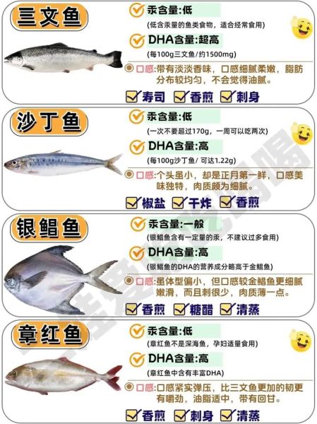 海里鱼有哪些常见种类_海里鱼怎么挑选新鲜