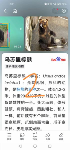 猛兽有哪些_猛兽战斗力排名