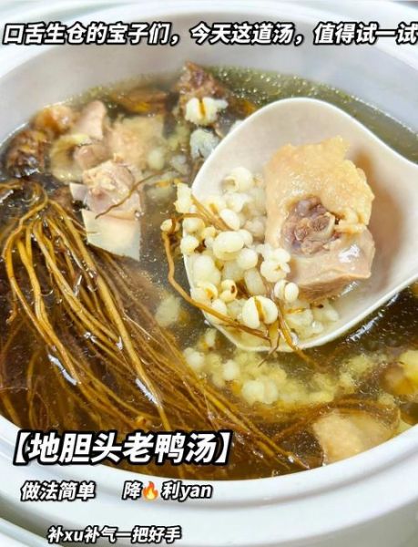 老鸭汤怎么炖好喝又营养_老鸭汤的做法步骤详解