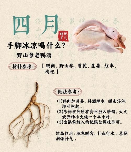 老鸭汤怎么炖好喝又营养_老鸭汤的做法步骤详解