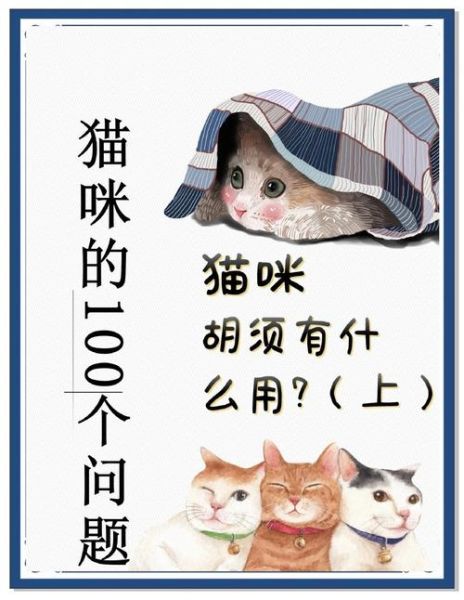 猫咪脸部结构图解_猫胡须有什么作用