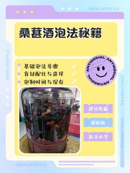 桑葚酒的做法_桑葚酒怎么泡才正宗