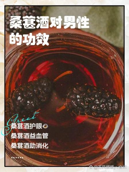 桑葚酒的做法_桑葚酒怎么泡才正宗