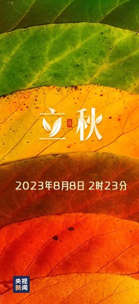 一叶知秋的秋天_一叶知秋是什么意思