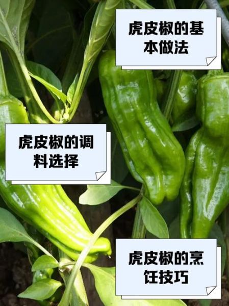 虎皮辣椒怎么做才够味_正宗虎皮辣椒的做法