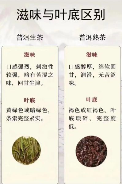 如何挑选优质普洱茶_普洱茶存放多久最好喝