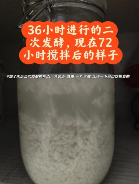 米酒怎么做_家庭自酿米酒详细步骤
