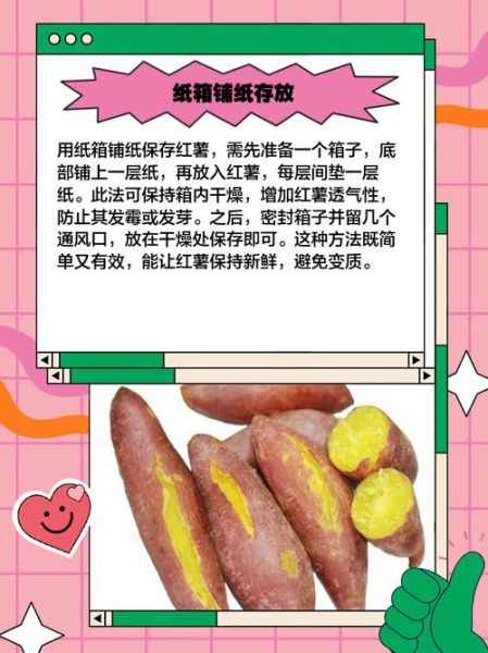 地瓜怎么保存不会发芽_地瓜发芽了还能吃吗