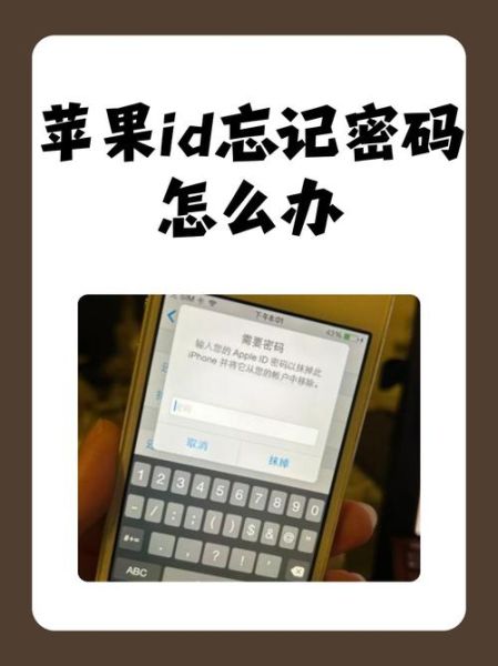 苹果手机怎么修改id密码_忘记Apple ID密码怎么办