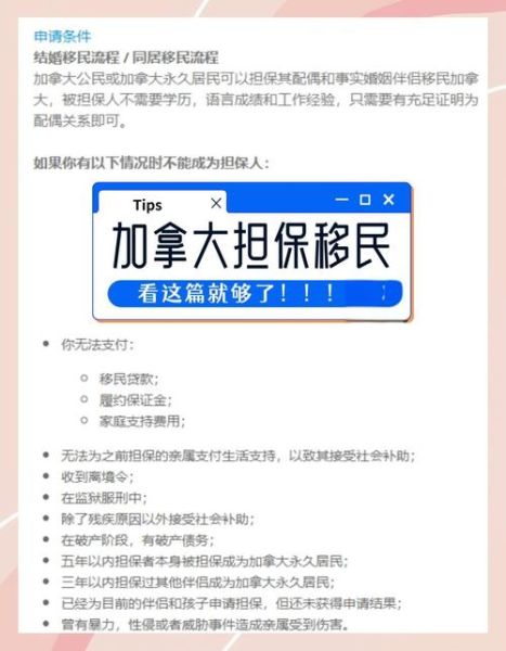 担保移民加拿大条件_担保人收入要求