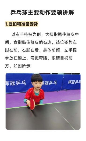小乒乓是什么_小乒乓怎么玩