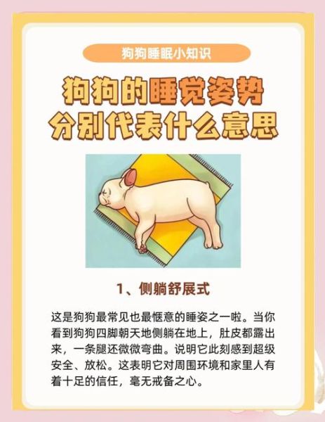 狗狗睡觉姿势代表什么_狗狗为什么睡觉总换地方