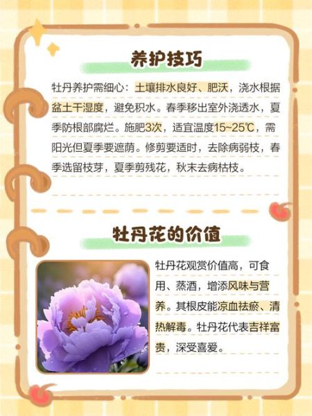 牡丹花怎么养_牡丹花什么时候开花