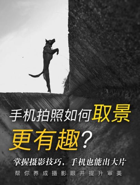 手机拍照怎么拍才好看_手机拍照入门技巧