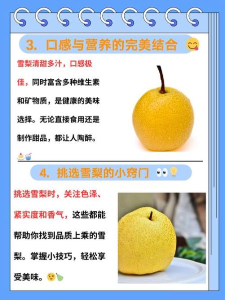 梨子组什么词语_梨子搭配哪些词最常用