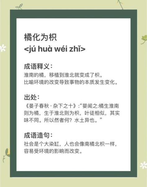 橙子有哪些成语_橙子寓意成语大全