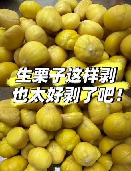 栗子怎么煮好吃_栗子怎么去皮最快