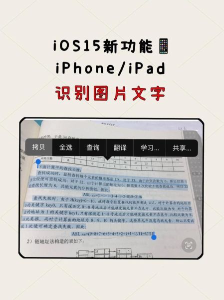 苹果手机怎么提取图片文字_图片文字识别教程