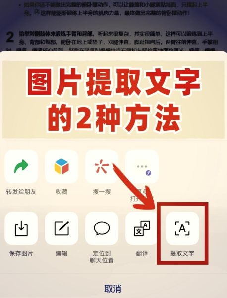 苹果手机怎么提取图片文字_图片文字识别教程