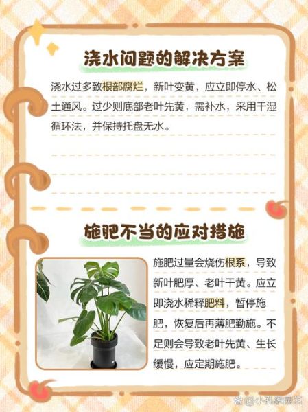绿叶植物怎么养_绿叶发黄是什么原因